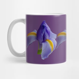 Three Blue Iris Blooms Floral Photo Mug